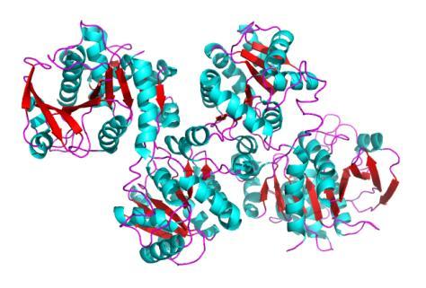 Polimerizzazione del G-1-P L UDPG ha un elevato potenziale di trasferimento dell unità glucosidica.