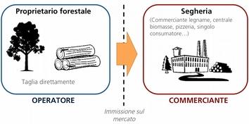 L impresa A è Operatore nel momento in cui i fusti diventano legno da distribuire o usare attraverso i propri canali commerciali.