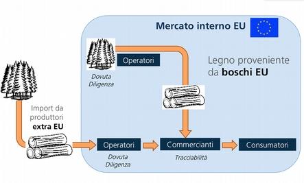 Il Regolamento 995/2010 prevede inoltre che il controllo della corretta applicazione delle sue disposizioni sia eseguito a vari livelli.