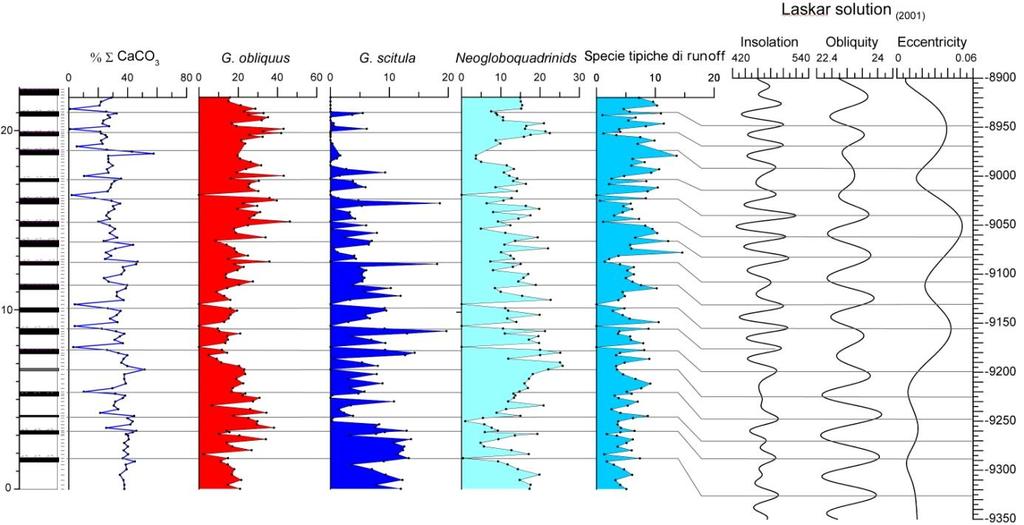 (Fig. 5). Proseguendo verso l alto, l abbondanza di tale specie diminuisce presentando alcuni picchi tra il 18 e il 20%. Nella parte alta della successione diminuisce ulteriormente fino a scomparire.