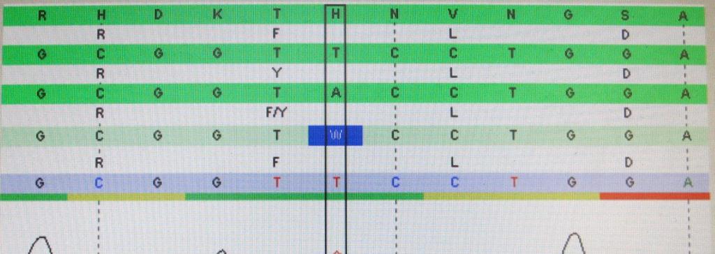 PROBLEMATICHE consensus DRB1*14: DRB1*03: