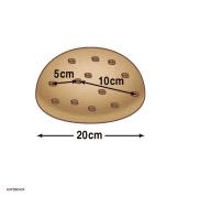 Esempio del panettone che lievita. Il panettone prima della lievitazione ha un diametro di 20 cm; dopo 2 ore in forno ha un diametro di 40 cm.
