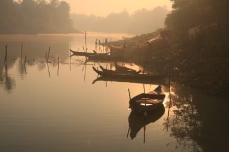 mangrovie e quanto altro si possa immaginare in una natura rigogliosa e incontaminata.