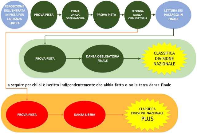 COMPETIZIONI DIVISIONE NAZIONALE E DIVISIONE NAZIONALE PLUS Per le categorie Divisione Nazionale è possibile, iscrivendosi alla competizione PLUS, partecipare ad un ulteriore competizione eseguendo