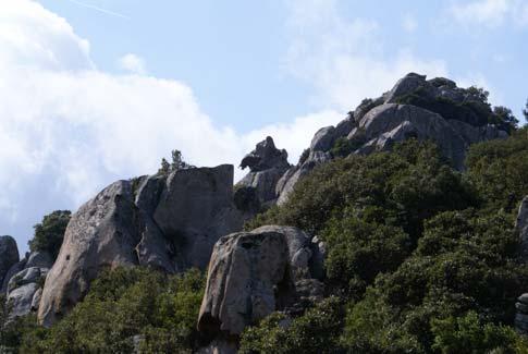 rocciosi che caratterizzano