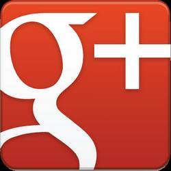 I principali social network www.plus.google.