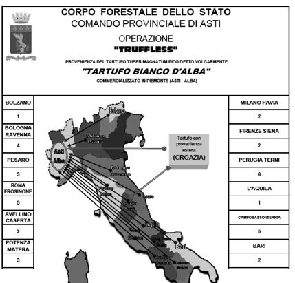 000 di pizzo Rapporto Ecomafie Legambiente, 2010) Commercializzazione illegale di imballaggi in legno Raccolta e commercializzazione di funghi e tartufi Illegalità 1) Evasione nel