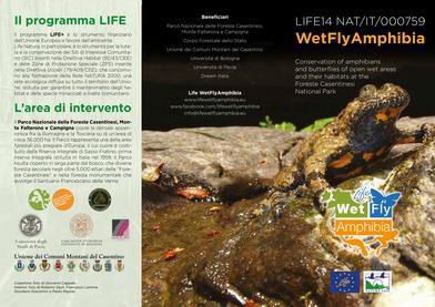 E3 Layman's report, brochure e pubblicazione di progetto 2021-07-01 Layman's report