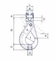 ACCESSORI GRADO 100 GANCIO DI SICUREZZA A FORCELLA Codice Catena A B C G H R T PxL Peso WLL CRFX 06 mm inch mm mm mm mm mm mm mm Kg Kg 5 6 7/32 1/4 28 7 8 16 21 94 35 7,5x17,5 0,5 1.