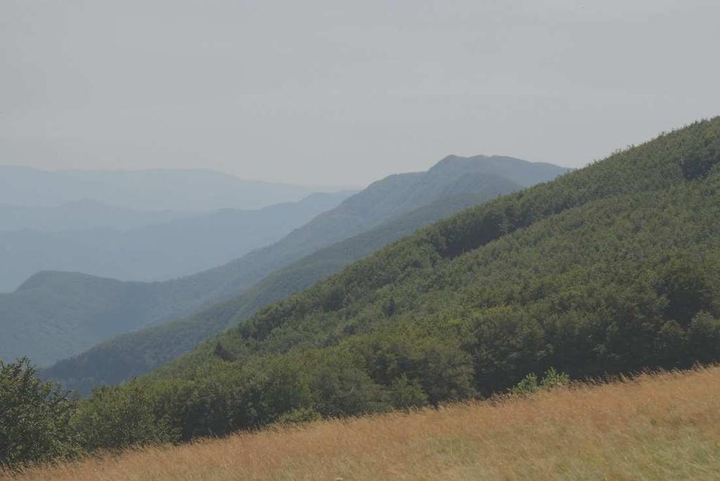 I GIOIELLI DEL PARCO La Foresta di Campigna e i prati della Burraia La Foresta di Campigna si affaccia sulla maestosa Riserva Integrale di Sasso Fratino.