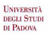 7, comma 6 e 6 bis del Decreto Legislativo n. 165/2001 e successive modificazioni; VISTO l'art. 3, comma 1, lettera t bis} e comma 1 bis della Legge 14.1.1994, n. 20, così come modificati dall'art.