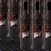 000 Bottiglia Ml 750 10,10 Irpinia Aglianico D.O.