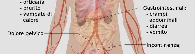 Durante una reazione allergica, l IgEprovoca il rilascio di molecole di segnalazione all interno del circolo sanguigno che, alla fine, determinano l insorgenza di sintomi comuni alle allergie