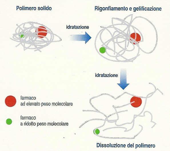 rilascio dipende