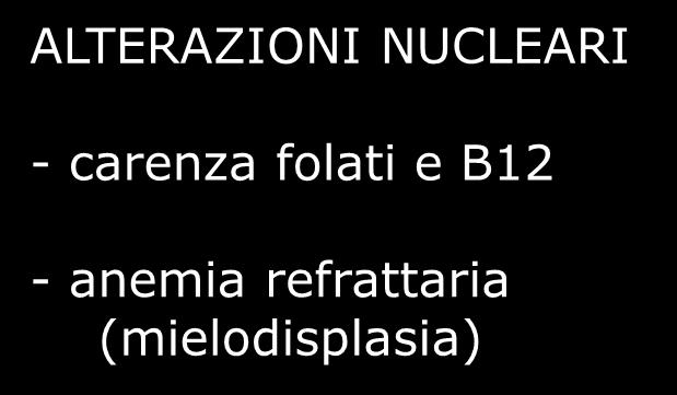 -Infiltrazione -Aplasia RIDOTA PRODUZIONE -Flogosi -Danno renale ALTERAZIONI NUCLEARI - carenza folati e