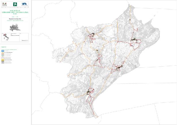 Analisi della Condizione Limite per l Emergenza dei