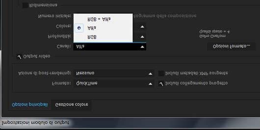 Il formato dei pixel codificato dipende dalle impostazioni di profondità e canale alfa scelte nella finestra di dialogo Impostazioni modulo di output.