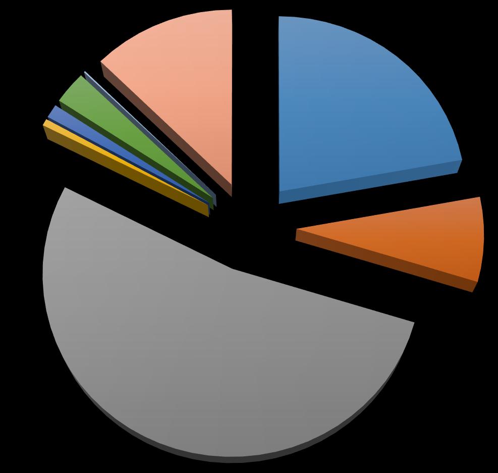 Metodologia utilizzata per la valutazione preliminare ISPESL NETWORK 2010 ISPESL - HSE 2010 INAIL 2011 3% 0% 1%