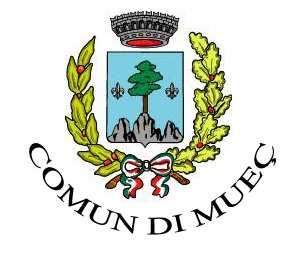 COMUNE DI MOGGIO UDINESE Provincia di Udine REGOLAMENTO SERVIZIO