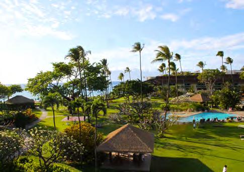 Ohau è certamente l isola più popolosa dove si trova Honululu ma anche luoghi famosi come Wailkiki Beach e Pearl Harbor Big Island (isola di Hawaii) è l isola geologicamente più giovane dove si trova