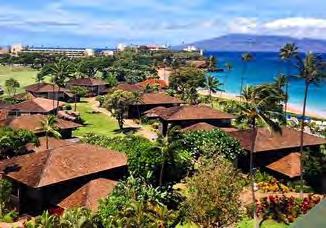 Maui è famosa per il surf e le sue bellissime spiagge mentre Kauai detta anche l isola giardino è la più antica tra le le principali dell arcipelago ed è anche l isola meno popolata e famosa per