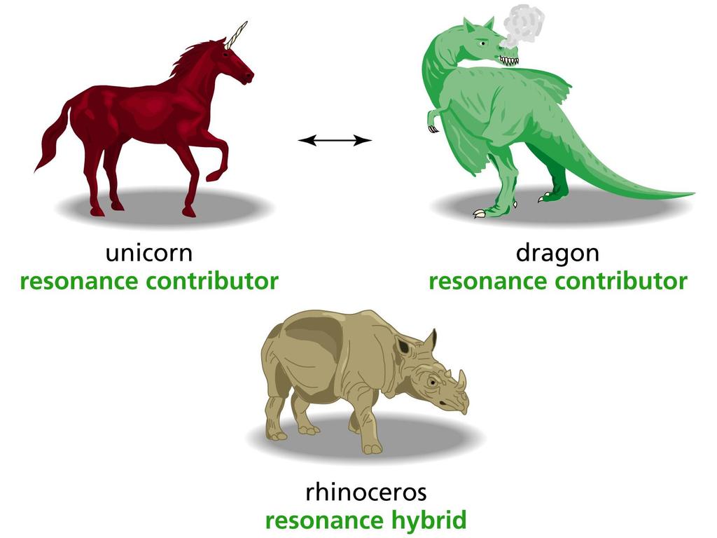 Delocalizzazione e risonanza Imagine that you are trying to describe to a friend what a rhinoceros looks like.