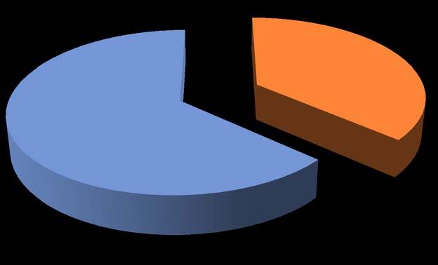 Azionariato Tipologia di azionisti 65,5% nelle holding quotate 63,5% 36,5% Capitale posseduto da persone fisiche