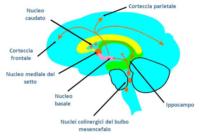 Sistema