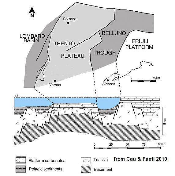 Linea Insubrica Linea della Valsugana Belluno Il margine settentrionale della placca Adria è interessato da