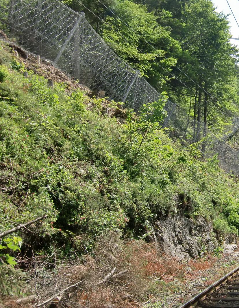 Protezione da caduta massi AUSSERFERNBAHN