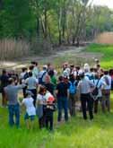 del canale Lorno, che, oltre ad essere un corso d acqua di grande importanza per la biodiversità, costituisce un importante corridoio ecologico tra la