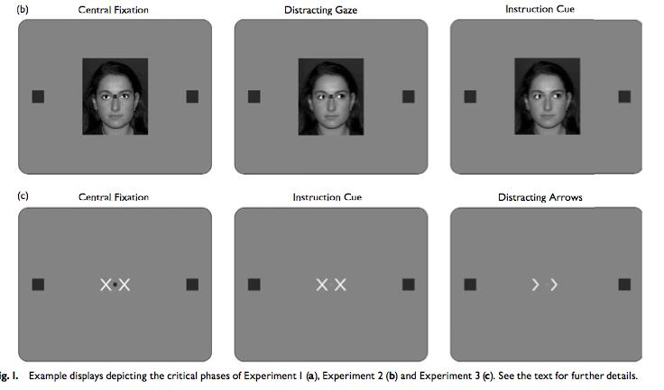 Attenzione e sguardo Lo sguardo orienta selettivamente l attenzione (Friesen & Kingstone 1998, Langton & Bruce,