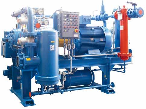 40 Tipiche composizioni di fornitura I compressori per gas biologico o gas naturale sono normalmente equipaggiati in funzione dell uso a cui sono destinati.