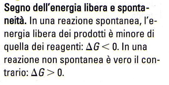 Termodinamica chimica Una reazione avviene in condizioni di temperatura e pressioni costanti nella direzione in cui si riduce l energia libera del sistema L energia libera di