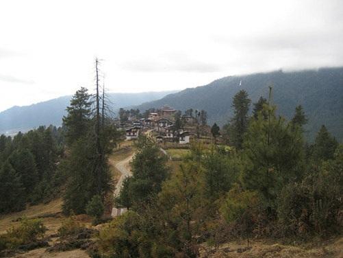 Pomeriggio visita del Punakha Dzong, il più scenografico del Paese, situato alla confluenza dei due fiumi Pochu e Mochu.