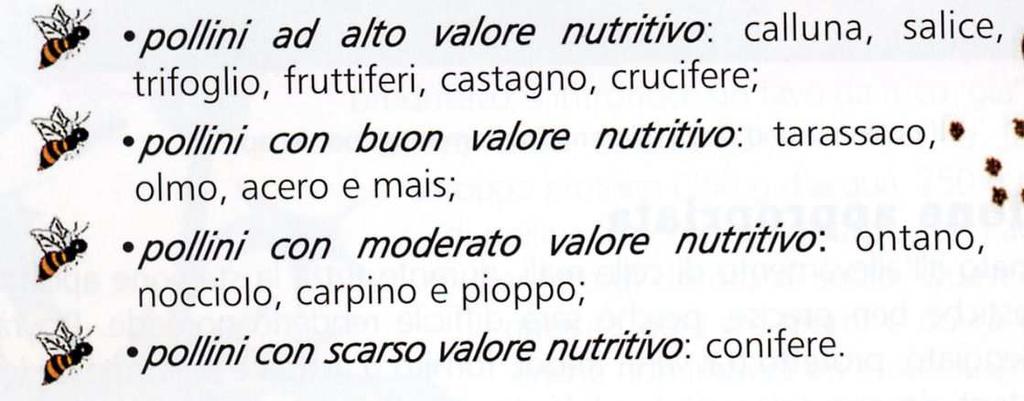 La nutrizione proteica/vitaminica Importanza dell alimentazione proteica/vitaminica L alimentazione proteica è fondamentale per: