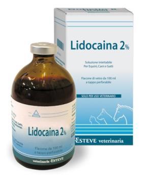 LIDOCAINA 2% 1 ml di soluzione contiene: Principi attivi: Lidocaina Cloridrato 20 mg FORMA FARMACEUTICA Soluzione iniettabile.