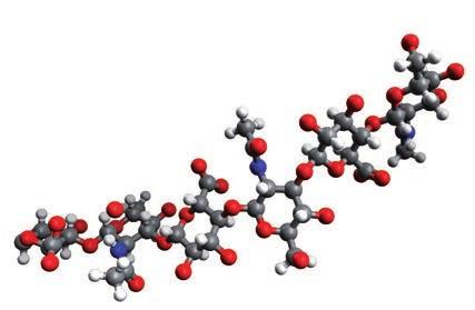 ISOTONICA Le cellule del nostro corpo hanno naturalmente una concentrazione dello 0,9% in sali. Una soluzione isotonica avrà la stessa concentrazione presente nel nostro corpo.