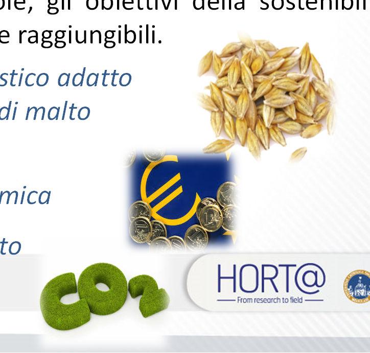 Introduzione LE DIECI REGOLE PER LA COLTIVAZIONE DELL ORZO DISTICO DA BIRRA Da alcuni anni Horta e i suoi partner stanno promuovendo strategie e tecniche per aumentare la sostenibilità della