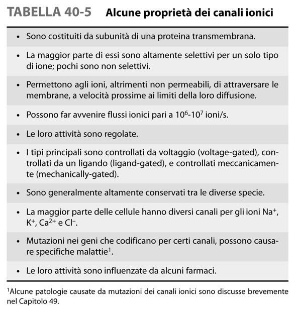 Sono proteine transmembrana che permettono il passaggio selettivo di vari ioni Dipende dal diametro e dalla carica dello ione Possono essere aperti transitoriamente: Canali controllati da un ligando