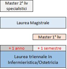 Proposte della prima classe Scienze Infermieristiche e Ostetriche Master II livello Management/docenza Laurea