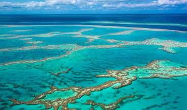 La Grande Barriera Corallina si raggiunge in circa un'ora di barca.