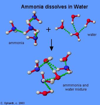 1 esempio: ammoniaca e acqua Queste forze spingono l