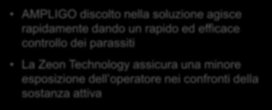 nella soluzione agisce rapidamente dando un rapido ed efficace