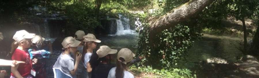 USCITA DIDATTICA IL FIUME E I SUOI BIOINDICATORI TEMI TRATTATI : Conoscere l ambiente tipico del Parco Naturale Valle del Treja LOCALITA : Parco Naturale Valle del Treja Mazzano R.