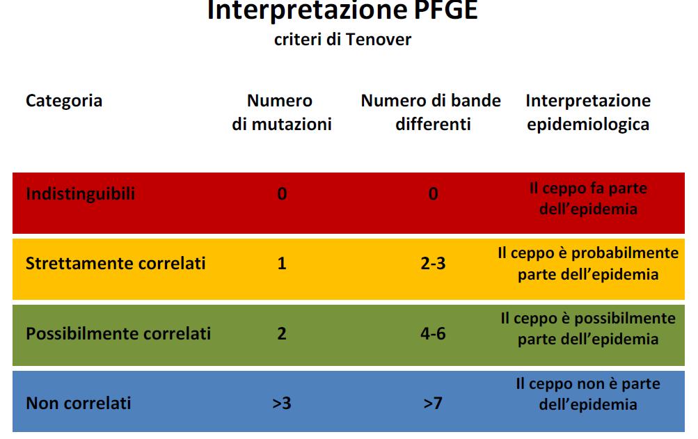 L utilizzo della PFGE consente, mediante il confronto dell impronta del DNA (DNA fingerprinting), di capire se isolati batterici possono derivare dallo stesso clone cellulare.