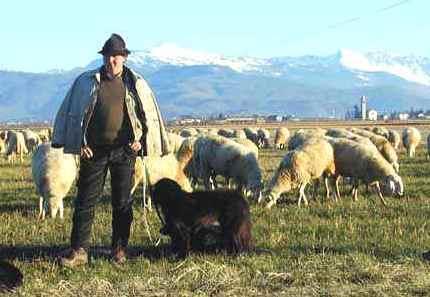 I pastori d Abruzzo