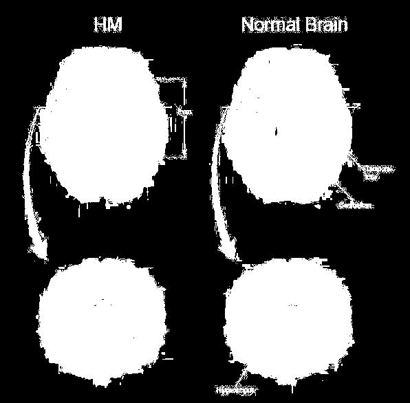 net These findings suggest that the