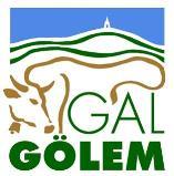 GAL GÖLEM Valle Trompia e Colline Prealpi Bresciane CONSIGLIO DI AMMINISTRAZIONE VERBALE N. 3 MERCOLEDì 16 NOVEMBRE 2016 ORE 16.