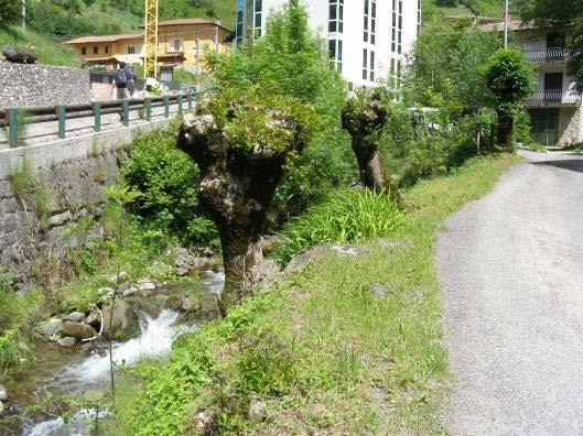 L intervento in progetto mira al contenimento del rischio di esondazione in sponda sinistra in concomitanza con eventi